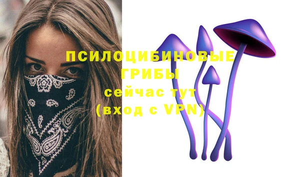 a pvp Арсеньев