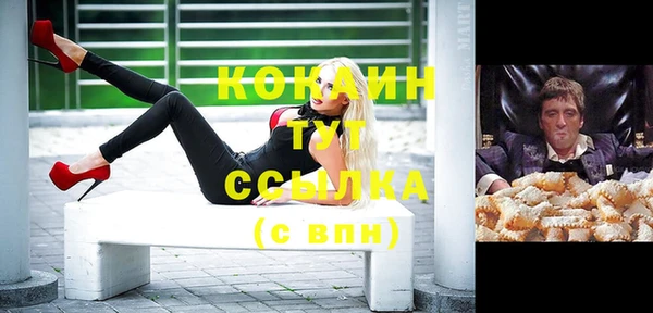 дурь Горняк