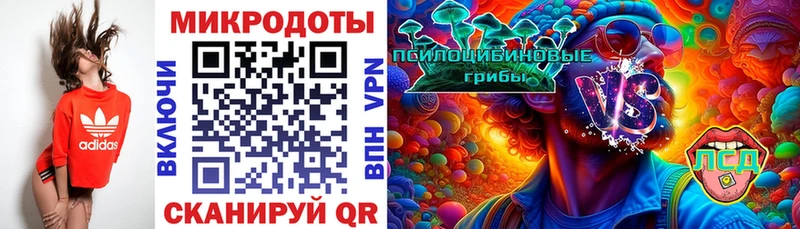 Псилоцибиновые грибы Psilocybe  гидра tor  Отрадный 