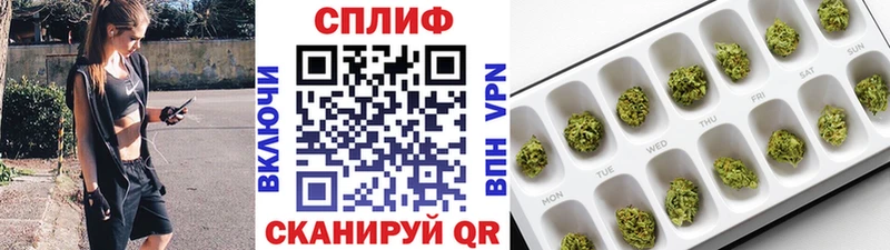Канабис OG Kush  Отрадный 